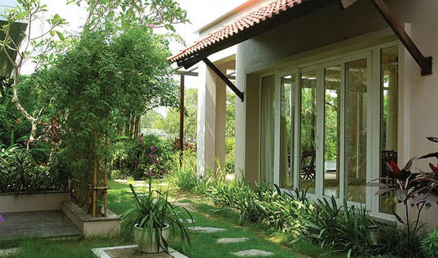 “Triết lý Xanh” của ông chủ Xuân Cầu ảnh 1