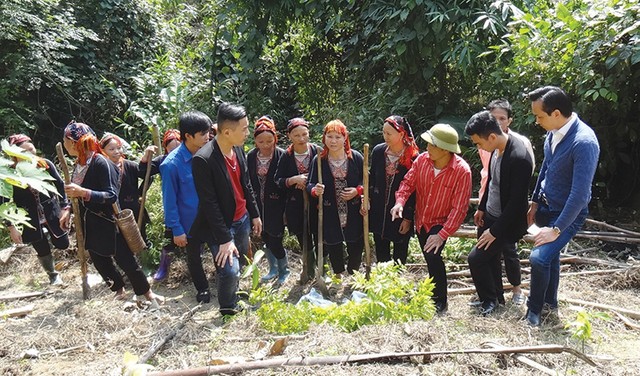 Doanh nhân Nguyễn Mạnh Hà: Ngọn lửa nhiệt huyết luôn rực cháy ảnh 1