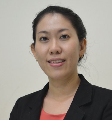 Chứng khoán 2017: Nhiều “phần bánh” hấp dẫn đang hiện hữu ảnh 1
