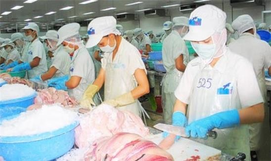 “Vua” cá tra Hùng Vương “xanh mặt“ vì lỗ, vẫn theo đuổi dự án nuôi heo ảnh 1