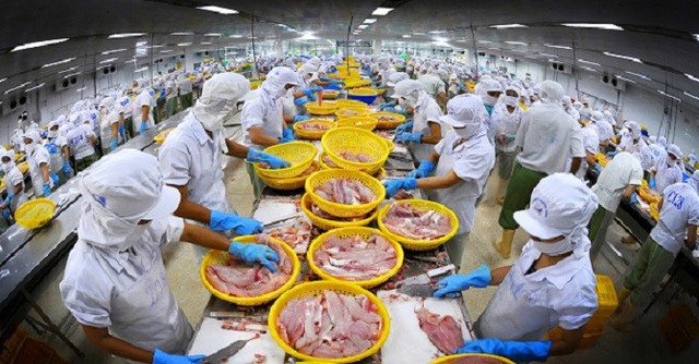 Trung Quốc trở thành “phao cứu tinh” cho các doanh nghiệp cá tra ảnh 1