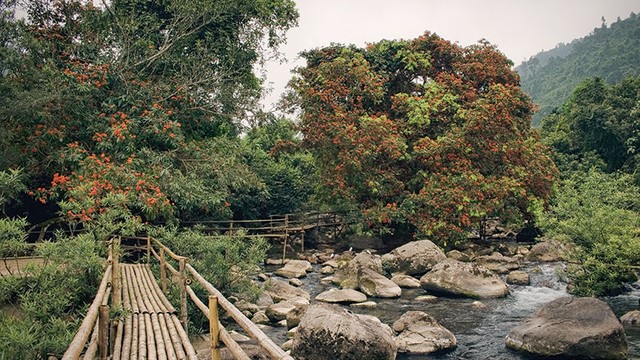 Suối Moọc Quảng Bình, tìm về vẻ đẹp tự nhiên ảnh 4