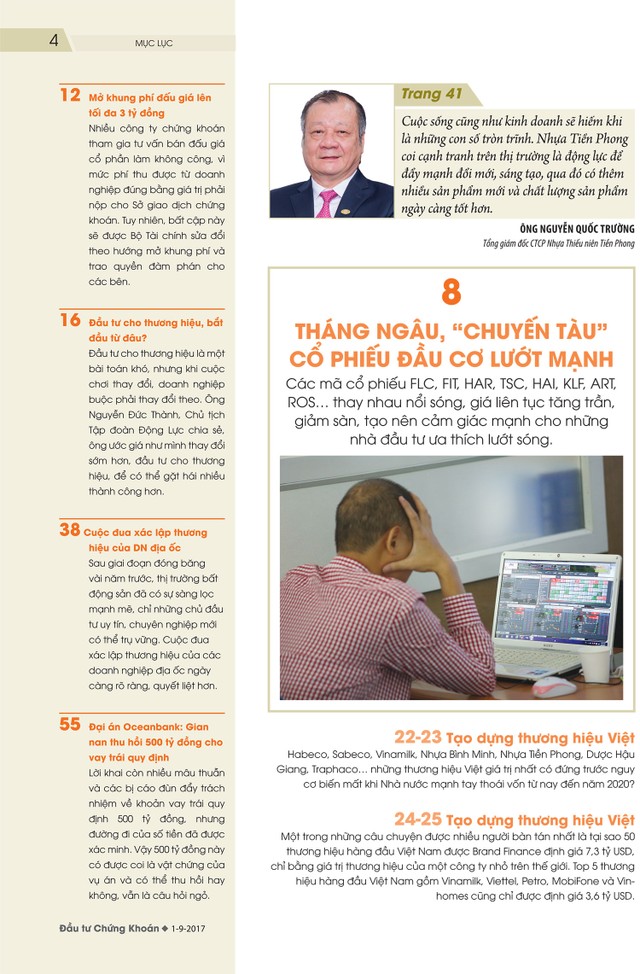 Đầu tư Chứng khoán số 105/2017 ảnh 1