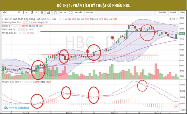 Đầu tư chứng khoán: Không chỉ biết, mà còn cần hiểu ảnh 1