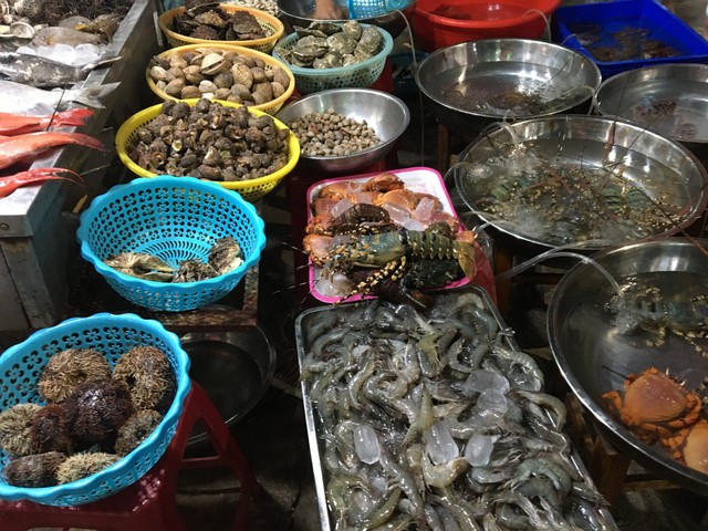 Lý Sơn - “Đảo tiên” giữa biển ảnh 11
