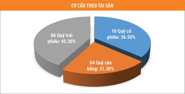 Chứng khoán thăng hoa, ngành quỹ thắng lớn ảnh 2