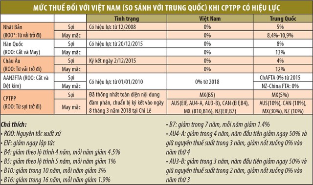 Hiệp định CPTPP tiếp lửa cổ phiếu dệt may ảnh 1