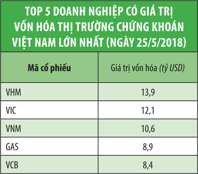 Doanh nghiệp Việt bắt đầu vào đường đua ảnh 2