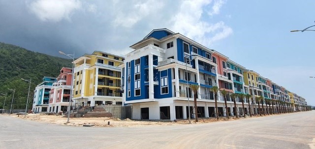 Quý I/2020, Tập đoàn CEO báo lãi dù bị ảnh hưởng bởi dịch Covid-19 ảnh 1