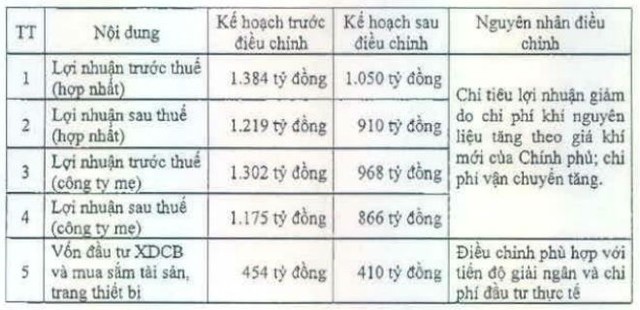 DPM điều chỉnh giảm hơn 25% kế hoạch lợi nhuận sau thuế ảnh 1
