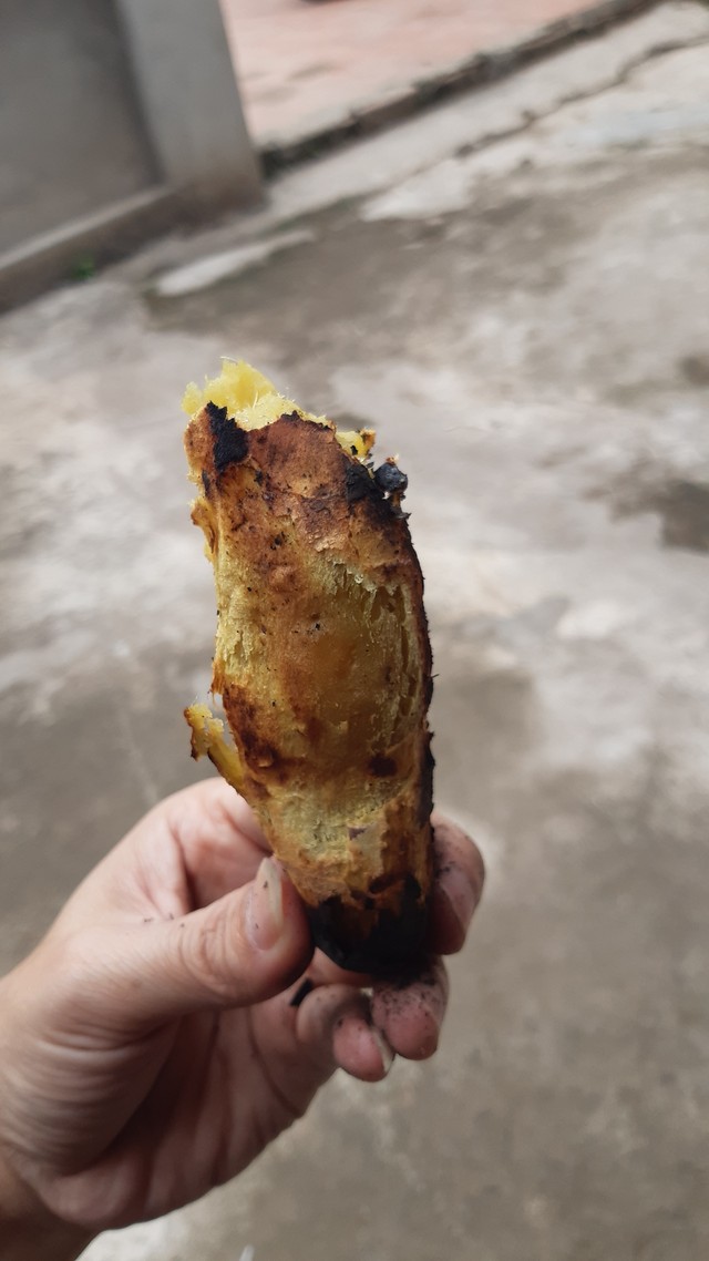 Ai ơi, về bếp nướng khoai ảnh 2