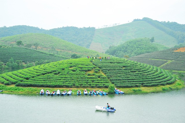Đi trốn nóng ở ốc đảo chè đẹp mê hồn xứ Nghệ ảnh 1