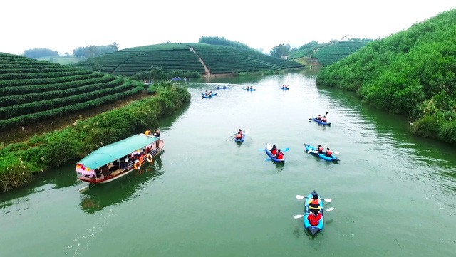 Đi trốn nóng ở ốc đảo chè đẹp mê hồn xứ Nghệ ảnh 5