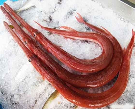 Thử loại cá “nhà giàu mới dám ăn” ở Đà Nẵng ảnh 1