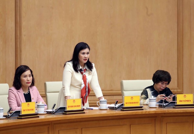 Chính phủ nghe lãnh đạo doanh nghiệp tư nhân hiến kế vượt qua khó khăn dịch bệnh ảnh 1