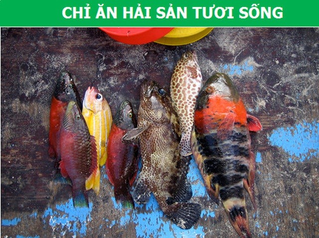Đất nước duy nhất trên thế giới không có người mắc ung thư ảnh 3
