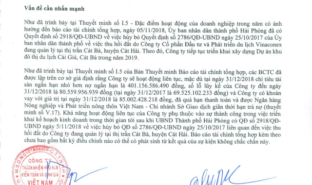 Tăng trần 13 phiên liên tiếp, điều gì đang xảy ra với cổ phiếu VCR? ảnh 3