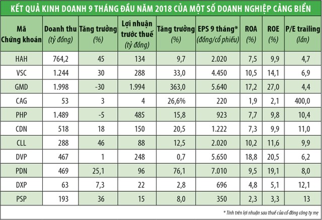Cổ phiếu cảng biển: Của để dành ảnh 1