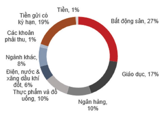 Quỹ TCEF: NAV giảm 25,16% ảnh 1