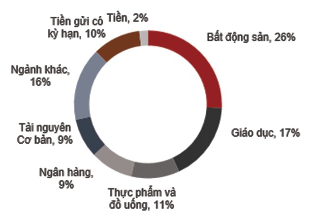 TCEF: NAV phục hồi theo đà tăng thị trường ảnh 1