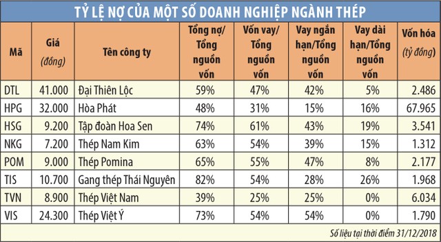 Gọi thêm 2.000 tỷ đồng vốn mới, HSG có bớt nợ? ảnh 4