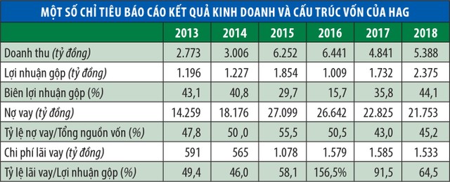 Ma trận tài chính HAG - An Phú: Bao giờ dứt hết nợ vay? ảnh 1