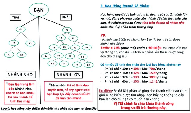 Làm rõ nghi vấn đa cấp trong kinh doanh bảo hiểm ảnh 1