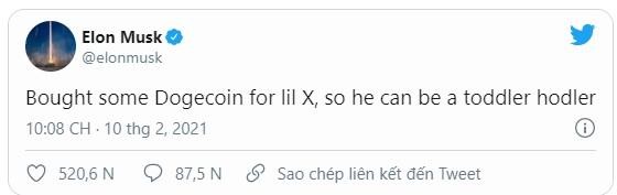 Tỷ phú Elon Musk giúp cậu con trai 9 tháng tuổi đầu tư vào đồng Dogecoin ảnh 1