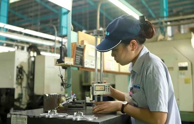 Từ hôm nay (1/3), tiến hành tổng điều tra kinh tế năm 2021 trên phạm vi cả nước ảnh 1