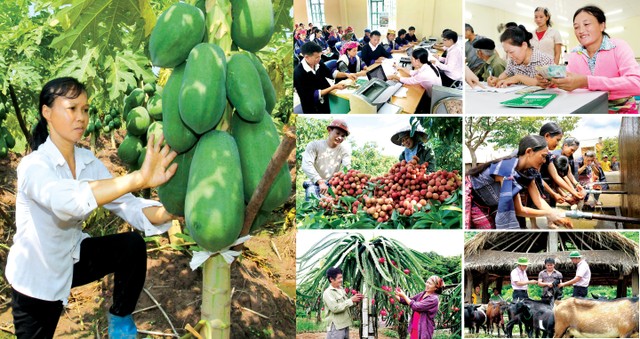 “Cách thức Việt Nam”: Kinh nghiệm xóa đói giảm nghèo cho khu vực châu Á - Thái Bình Dương ảnh 2