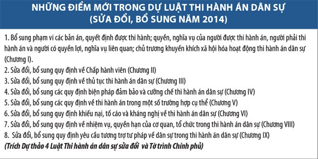 Thi hành án: Những số liệu giật mình ảnh 2