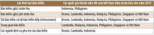 Thị trường bảo hiểm chuẩn bị thế nào trước cuộc chơi khu vực? ảnh 1