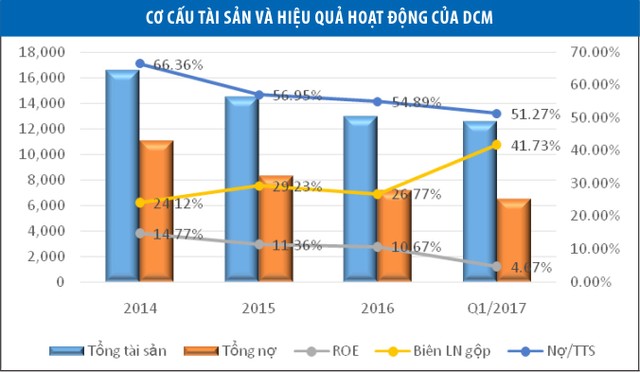 DCM phát triển bền vững từ nền tảng tài chính ảnh 1