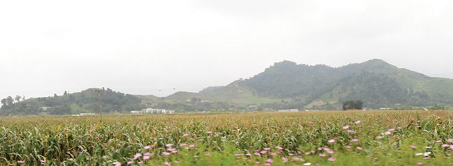 Sắc màu Bình Nhưỡng ảnh 6