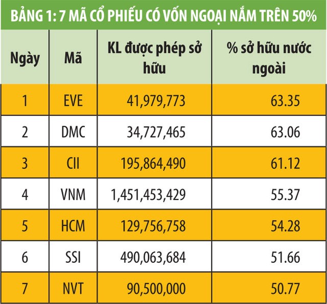Vốn ngoại mới chảy mạnh vào 10% doanh nghiệp niêm yết ảnh 2