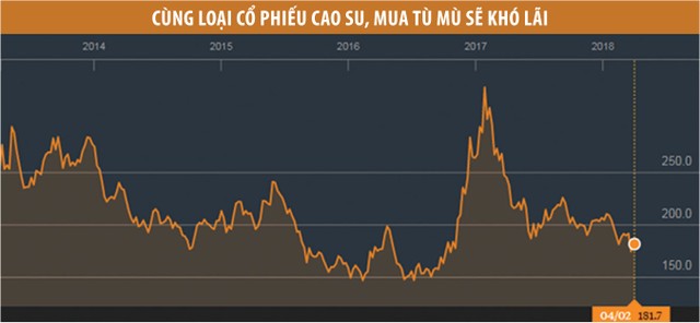 Cùng loại cổ phiếu cao su, mua tù mù sẽ khó lãi ảnh 1