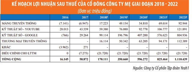 Ván bài của Yeah1 có gì khi đầu tư vào Netlink? ảnh 2