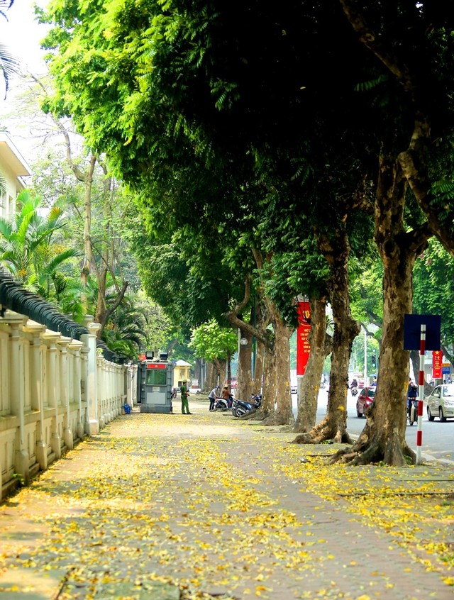 Vẻ đẹp “mùa thu thứ hai” của Hà Nội ảnh 1