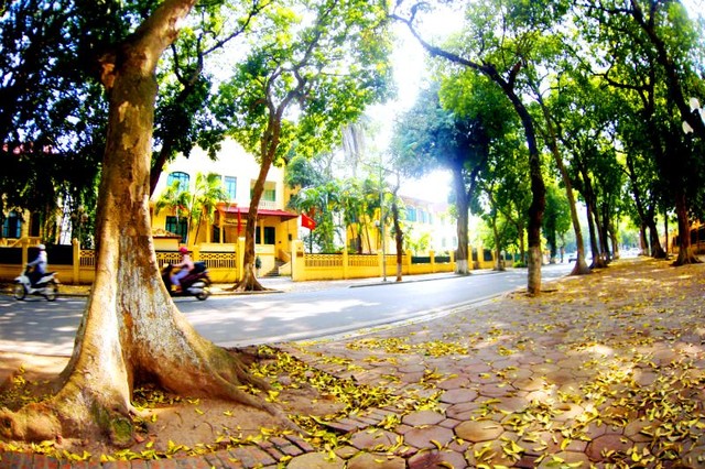 Vẻ đẹp “mùa thu thứ hai” của Hà Nội ảnh 3