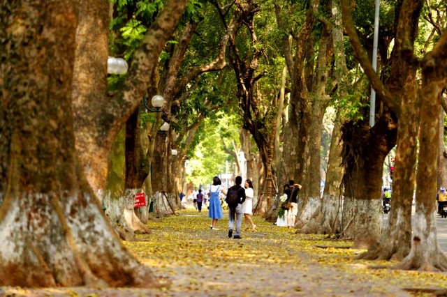 Vẻ đẹp “mùa thu thứ hai” của Hà Nội ảnh 4