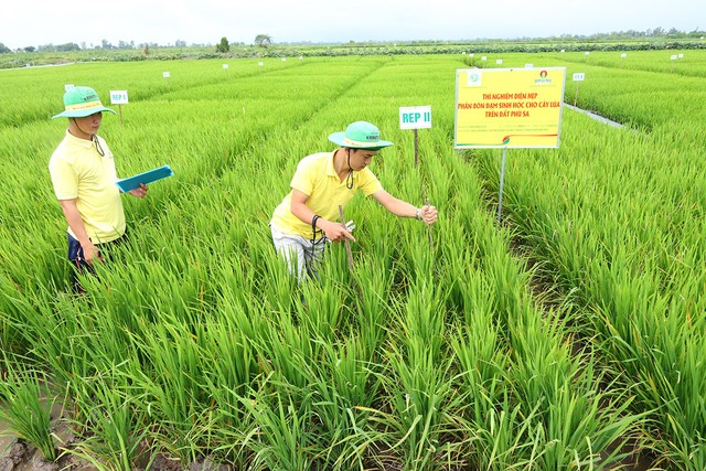 Trung tâm R&D Đạm Cà Mau được cấp phép khảo nghiệm phân bón ảnh 1