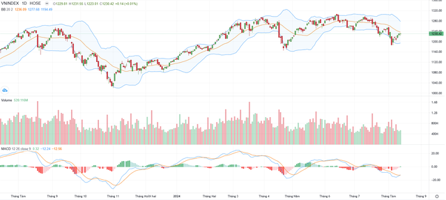 Biểu đồ kỹ thuật VN-Index.