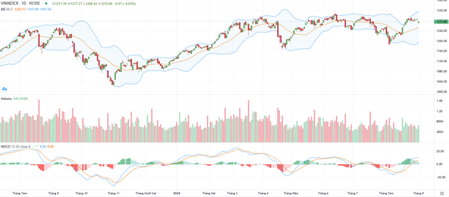 Biểu đồ kỹ thuật VN-Index.