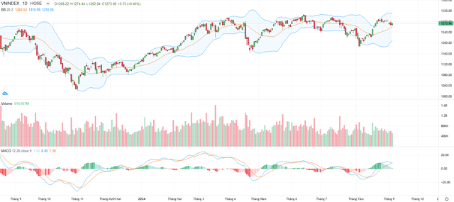 Biểu đồ kỹ thuật VN-Index.