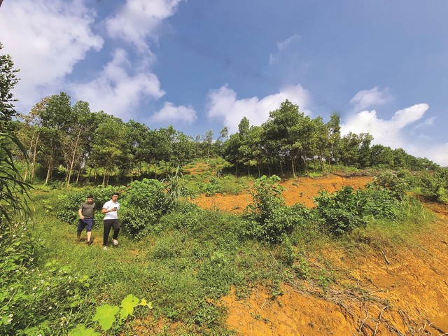 Nhiều khu vực ghi nhận lượng giao dịch đất nền thổ cư tăng đột biến. Ảnh: Dũng Minh. Nhiều khu vực ghi nhận lượng giao dịch đất nền thổ cư tăng đột biến. Ảnh: Dũng Minh.