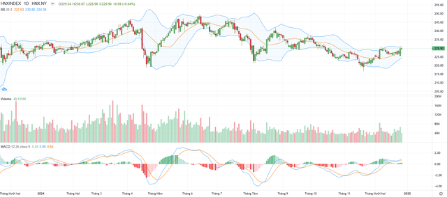 Biểu đồ kỹ thuật HNX-Index.