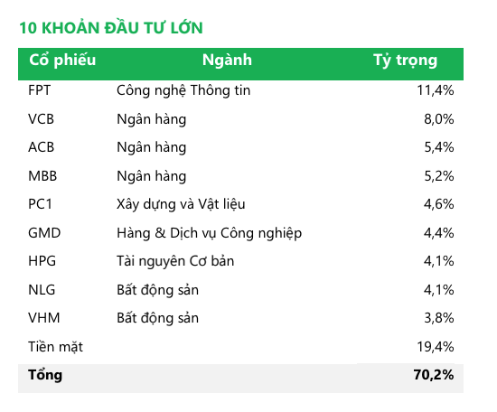 Danh mục đầu tư của Quỹ tính tới cuối tháng 1/2024, tiền mặt chiếm 19,4%