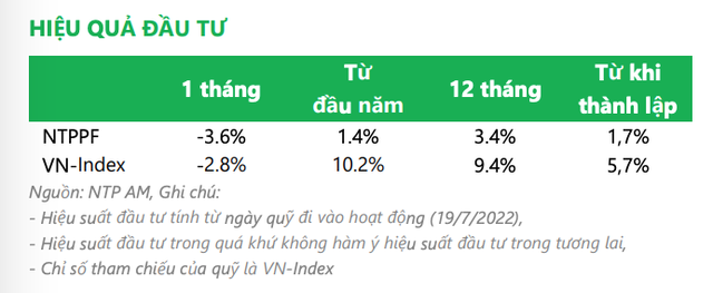 Hiệu quả đầu tư của NTPPF thua thị trường chung