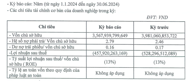 Thông tin tài chính của Nhiệt điện Thăng Long nửa đầu năm 2024