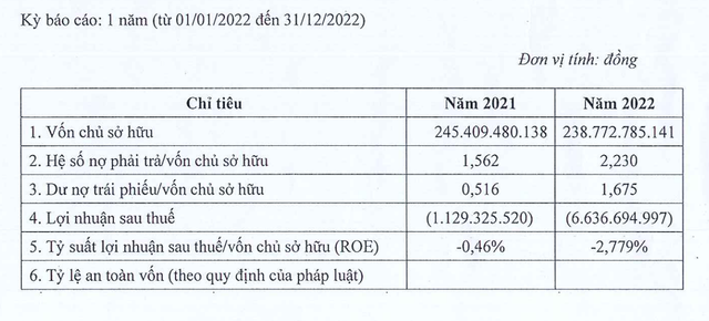 Thông tin tài chính của Đầu tư Phúc Hậu nửa đầu năm 2024